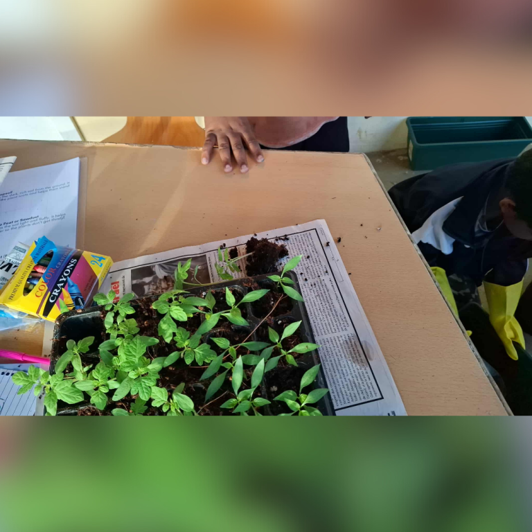 Growing More Than Plants: The Anou Plante Project by JCI Beau-Bassin/Rose-Hill